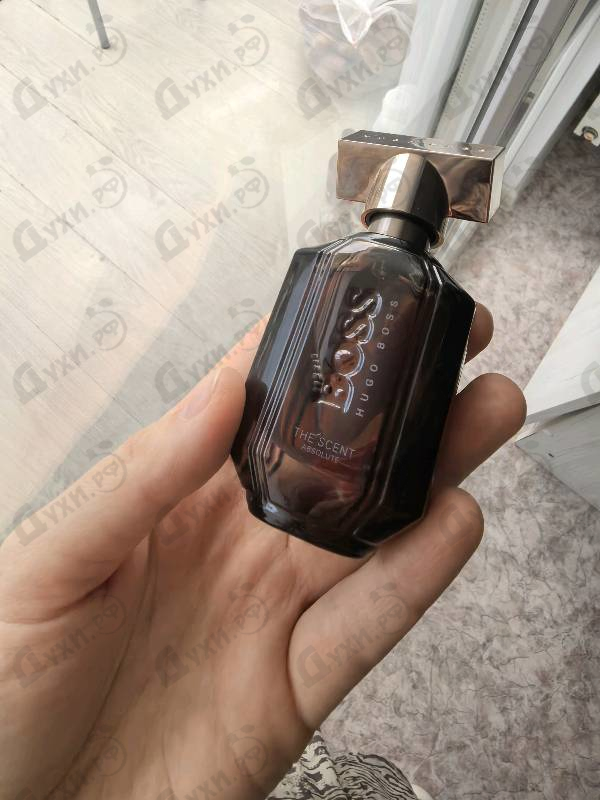 Купить The Scent Absolute от Hugo Boss