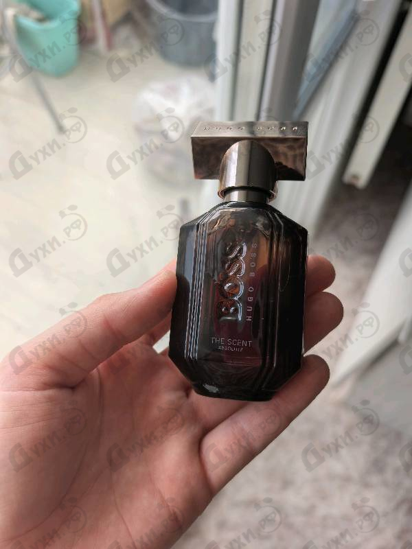 Парфюмерия The Scent Absolute от Hugo Boss