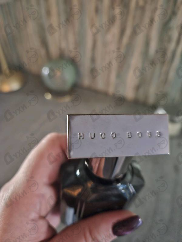 Купить Hugo Boss The Scent Absolute