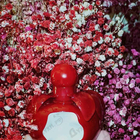 Духи Nina Rouge от Nina Ricci