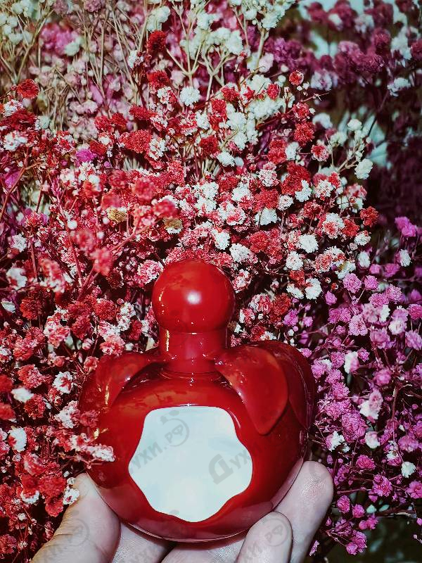 Духи Nina Rouge от Nina Ricci