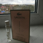 Отзыв Lacoste Timeless