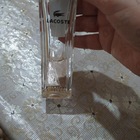 Отзывы Lacoste Timeless