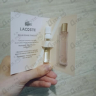 Отзыв Lacoste Timeless