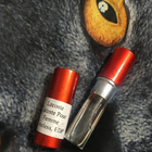 Отзыв Lacoste Timeless