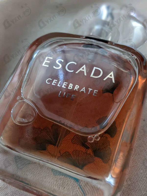 Парфюмерия Celebrate Life от Escada