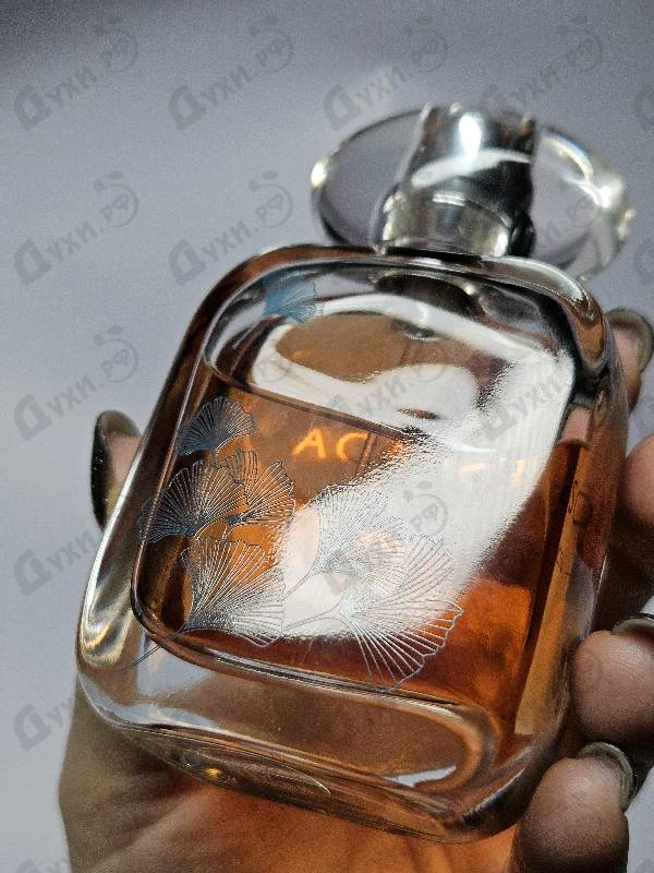 Парфюмерия Escada Celebrate Life