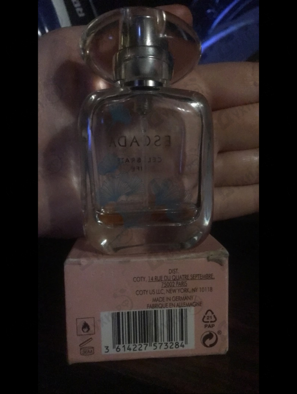 Купить Celebrate Life от Escada