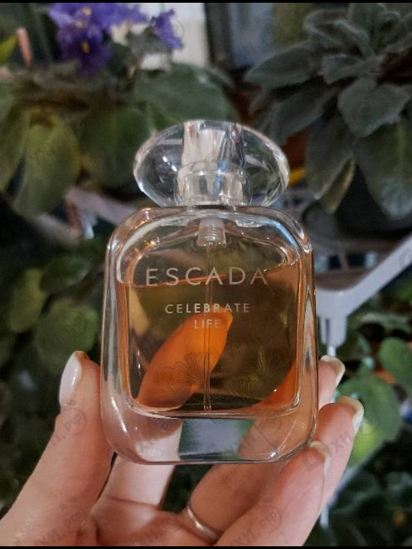 Купить Escada Celebrate Life