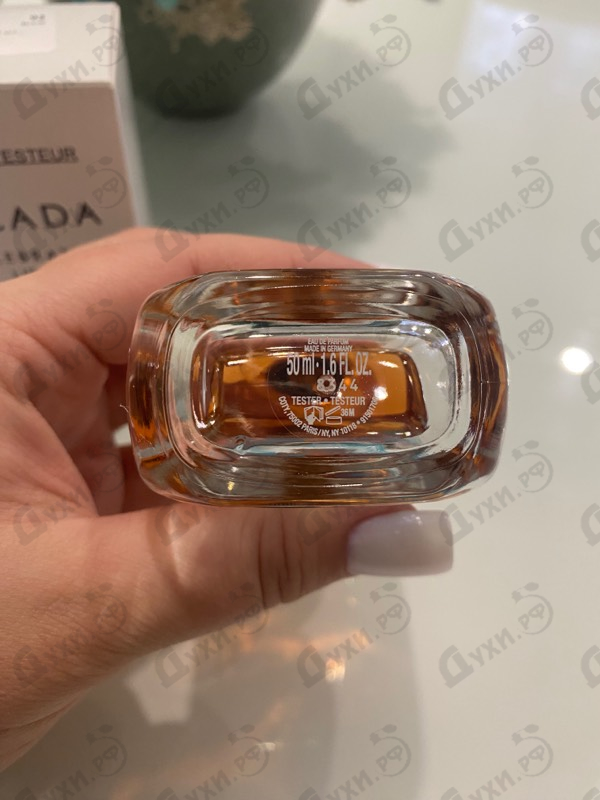 Купить Celebrate Life от Escada