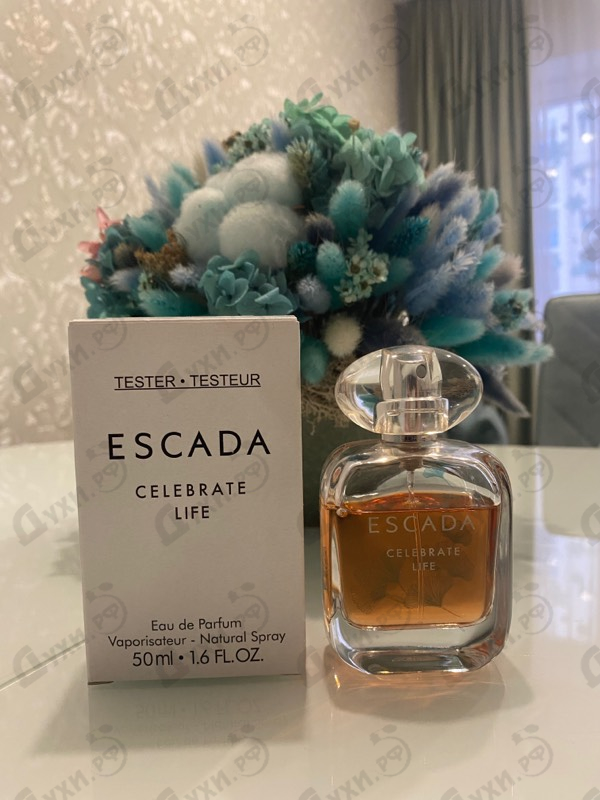 Купить Celebrate Life от Escada