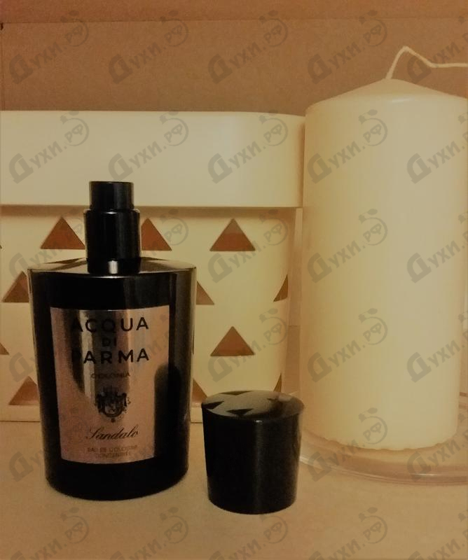 Отзыв Acqua Di Parma Colonia Sandalo Concentree