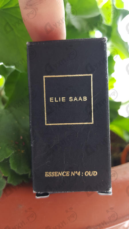 Купить Elie Saab Essence No. 4 Oud