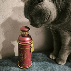 Парфюм Alexandre J Rose Alba