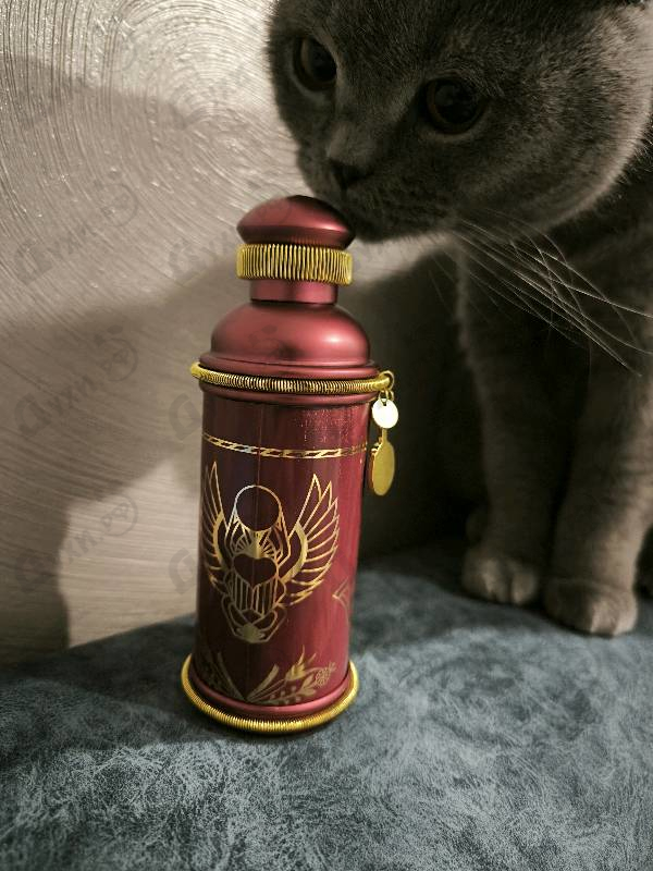 Парфюмерия Rose Alba от Alexandre J