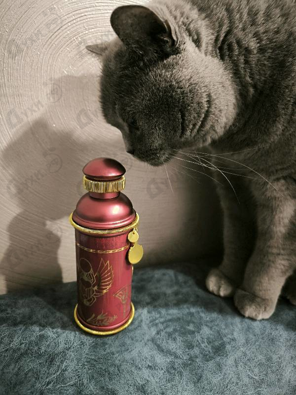 Парфюмерия Rose Alba от Alexandre J