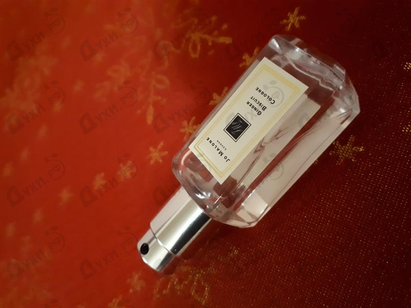 Купить Ginger Biscuit от Jo Malone Парфюмерия Jo Malone Ginger Biscuit