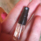 Отзывы Lalique Soleil