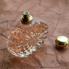 Отзывы Lalique Soleil