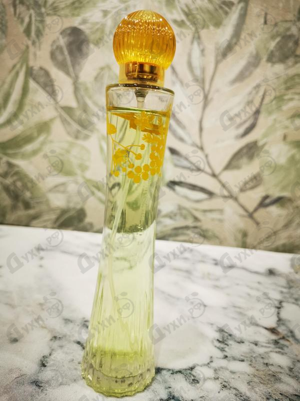 Духи Brocard Сады Соблазна Мечта Парфюмерия Сады Соблазна Мечта от Brocard