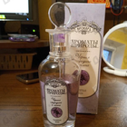 Парфюм Brocard Ароматы природы Черная смородина и мята