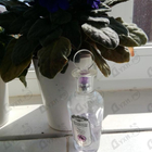 Парфюм Brocard Ароматы природы Черная смородина и мята