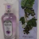 Духи Ароматы природы Черная смородина и мята от Brocard