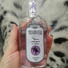 Парфюм Brocard Ароматы природы Черная смородина и мята