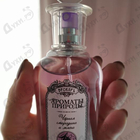 Парфюм Brocard Ароматы природы Черная смородина и мята