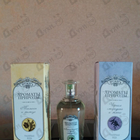 Парфюм Brocard Ароматы природы Черная смородина и мята