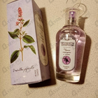 Отзывы Brocard Ароматы природы Черная смородина и мята