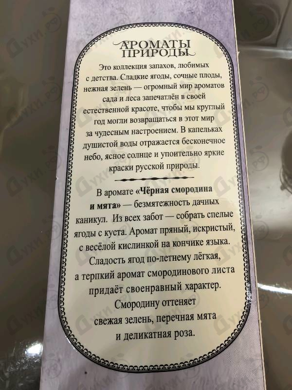 Отзыв Brocard Ароматы природы Черная смородина и мята