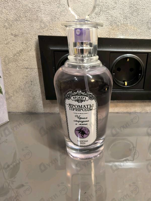 Отзывы Brocard Ароматы природы Черная смородина и мята