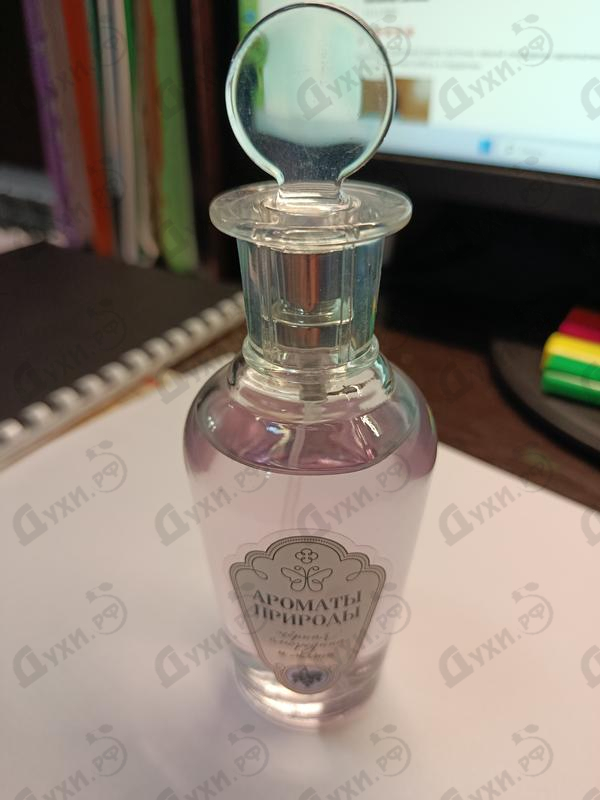 Парфюмерия Brocard Ароматы природы Черная смородина и мята