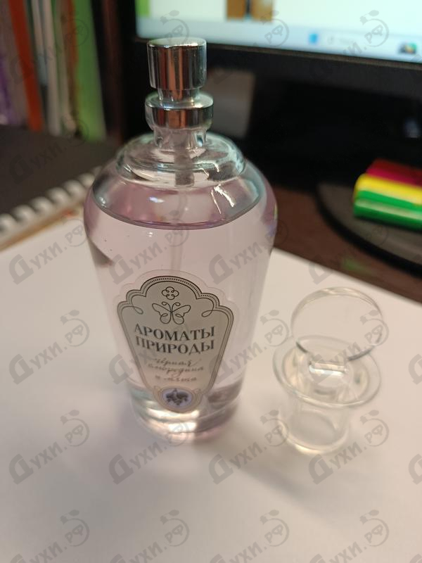 Купить Ароматы природы Черная смородина и мята от Brocard