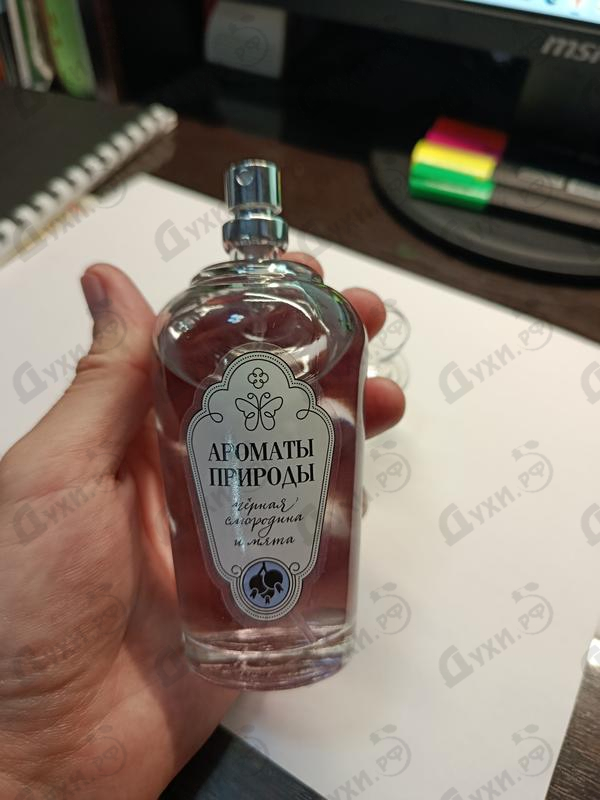 Купить Ароматы природы Черная смородина и мята от Brocard