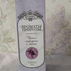 Парфюм Brocard Ароматы природы Черная смородина и мята