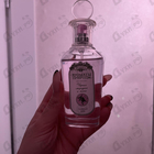 Парфюм Brocard Ароматы природы Черная смородина и мята