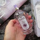 Парфюм Brocard Ароматы природы Черная смородина и мята