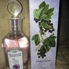 Духи Ароматы природы Черная смородина и мята от Brocard