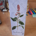 Отзыв Brocard Ароматы природы Черная смородина и мята