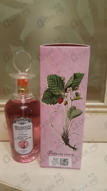 Духи Brocard Ароматы природы Лесная земляника и полевые травы Духи Ароматы природы Лесная земляника и полевые травы от Brocard