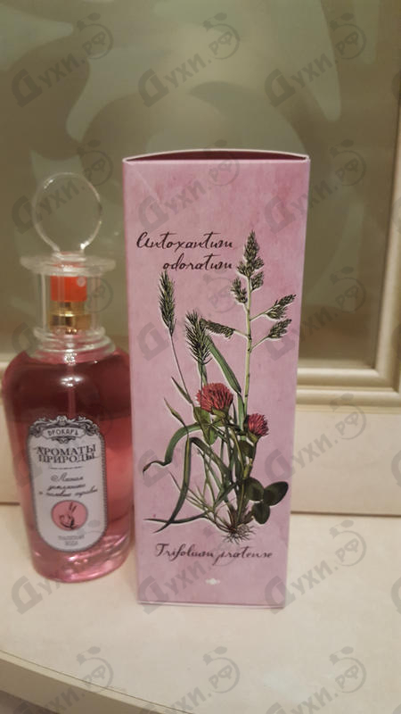 Отзыв Brocard Ароматы природы Лесная земляника и полевые травы Парфюмерия Ароматы природы Лесная земляника и полевые травы от Brocard