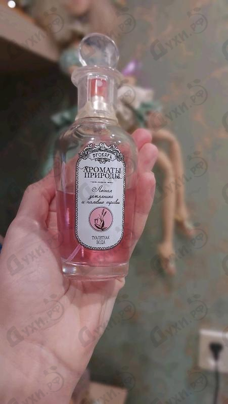 Духи Brocard Ароматы природы Лесная земляника и полевые травы Парфюмерия Ароматы природы Лесная земляника и полевые травы от Brocard