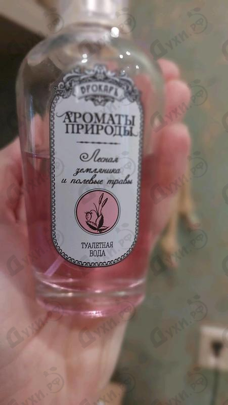 Отзыв Brocard Ароматы природы Лесная земляника и полевые травы Купить Ароматы природы Лесная земляника и полевые травы от Brocard