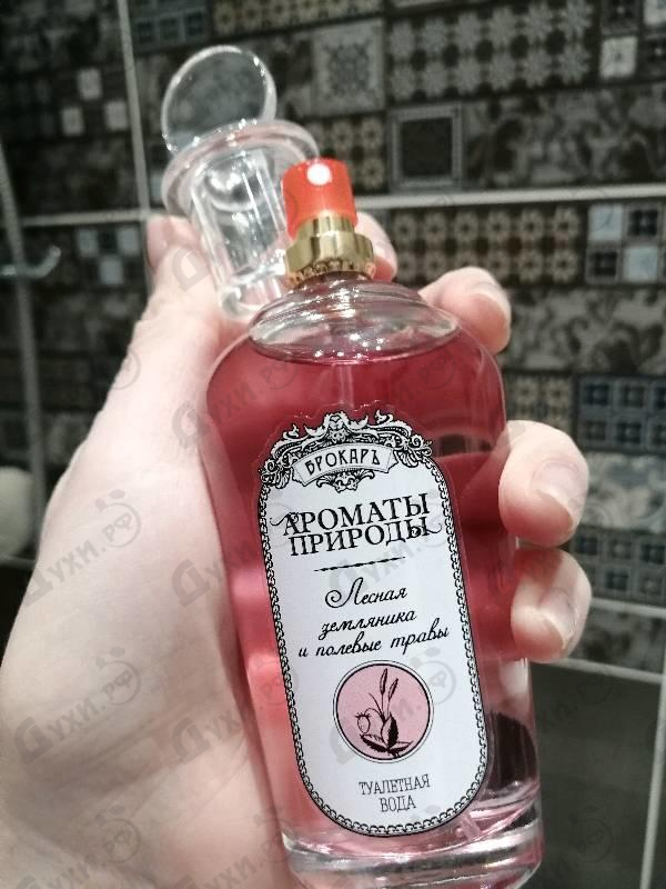 Купить Ароматы природы Лесная земляника и полевые травы от Brocard Отзыв Brocard Ароматы природы Лесная земляника и полевые травы