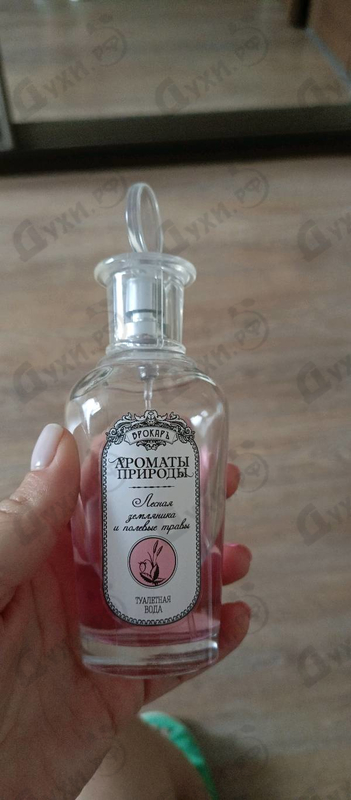 Парфюмерия Ароматы природы Лесная земляника и полевые травы от Brocard