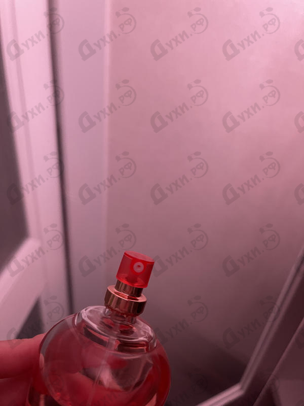 Парфюм Brocard Ароматы природы Лесная земляника и полевые травы Парфюмерия Ароматы природы Лесная земляника и полевые травы от Brocard