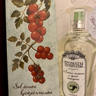 Парфюм Brocard Ароматы природы Листья томата и черной смородины