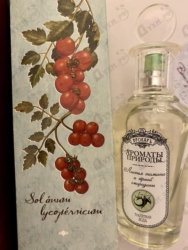 Отзыв Brocard Ароматы природы Листья томата и черной смородины Парфюмерия Ароматы природы Листья томата и черной смородины от Brocard